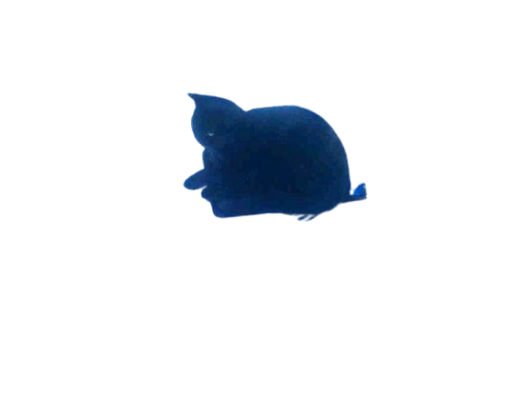 an old photo of a black cat text